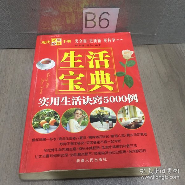 生活宝典:实用生活诀窍5000例