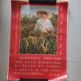 毛主席像（长70cm，宽52cm）