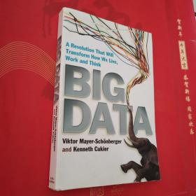 Big Data: A Revolution That Will Transform How We Live, Work and Think大数据时代 英文原版