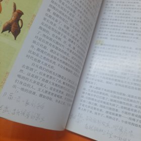 中国瓷壶赏玩