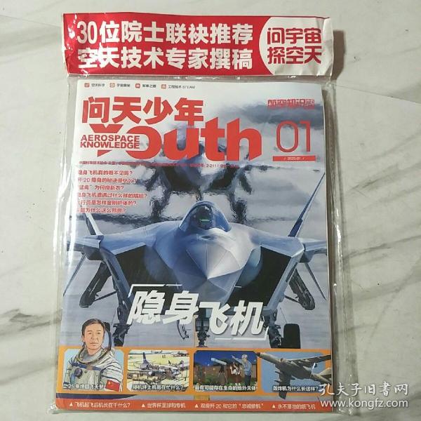 问天少年2023.1:隐身飞机(本期有随刊赠品:2张精美大海报+FC31战斗机拼插模型一个，塑封未拆)