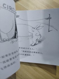 信谊绘本世界精选图画书：逃家小兔