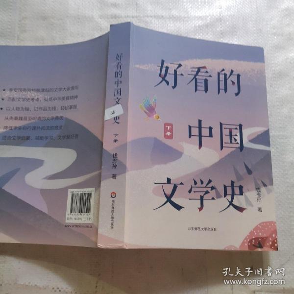 好看的中国文学史（套装上下册）