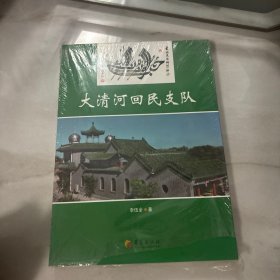 大清河回民支队