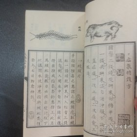 天宝五十方