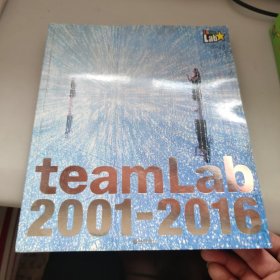 teamLab 2001-2016 (蒂姆联铂 : 2001-2016) 平装