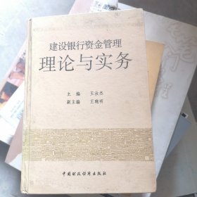 建设银行资金管理理论与实务