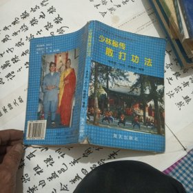 少林秘传散打功法