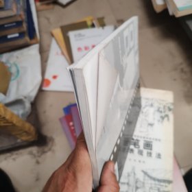 现代摄影教程：电子暗房技术