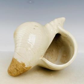 定瓷海螺，高12.5厘米，直径16厘米