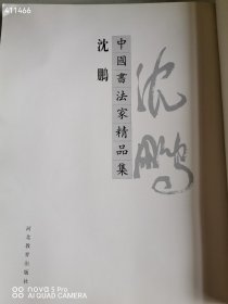 一本库存 中国书法家精品集——沈鹏 没有书皮 品相如图 2000年9月第一版 第一次印刷 定价2180元 特价300元包邮 平房