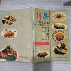 川菜精华图集②(16开)