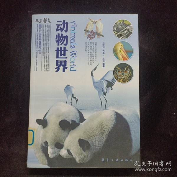 动物世界