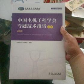 中国电机工程学会专题技术报告2020上中下卷三卷全【364号】