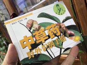 中草药野外识别手册4
