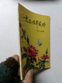 熏茶花卉栽培