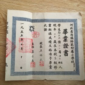 1955年河北省泊镇师范附属小学毕业证书