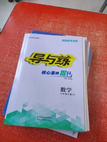 导与练 核心素养提升 数学 八年级下册RJ