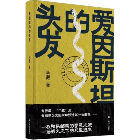 爱因斯坦的头发（孙颙奇思小说系列 —太史公笔法书写奇人奇事：一枚神秘邮票的寻觅之旅，一场战火之下的死里逃生）