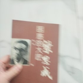 梁思成 困惑的大匠