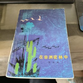 在非洲密林中