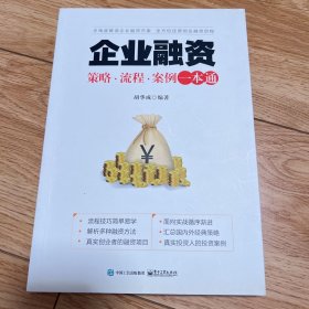 企业融资：策略?流程?案例一本通