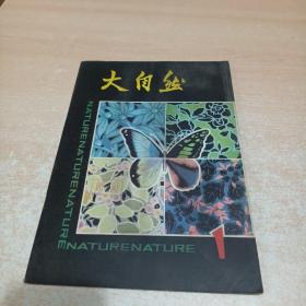 大自然 创刊号