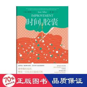 时间胶囊（美国国家畅销书，福克纳小说奖获奖作品，作者被誉为美国的“艾丽丝·门罗”）