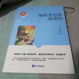 钢铁是怎样炼成的