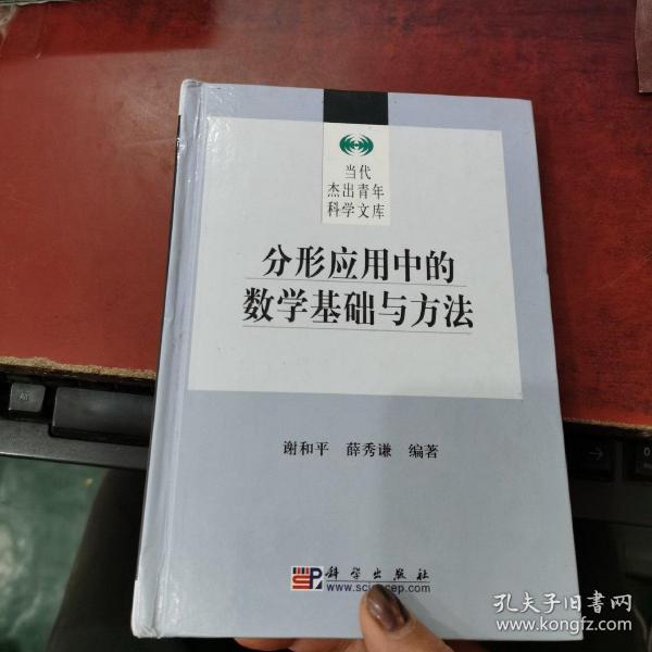 分形应用中的数学基础与方法