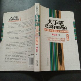 大手笔是怎样炼成的：资深老秘书的公文写作秘笈（理论篇）