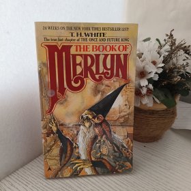 The Book of Merlyn