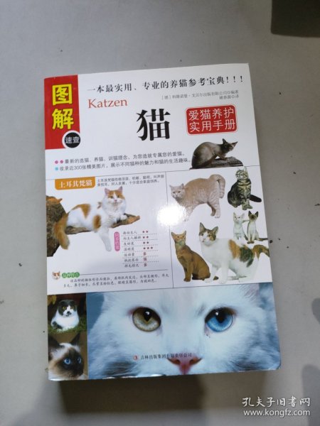 猫：爱猫养护实用手册