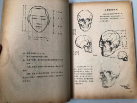 浙江美术学院编撰教材 人体结构书籍