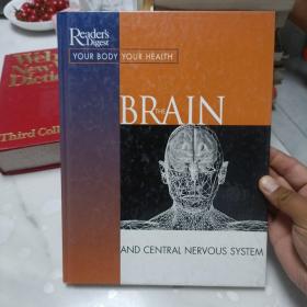 THE BRAIN & CENTRAL NERVOUS SYSTEM
大脑和中枢神经系统