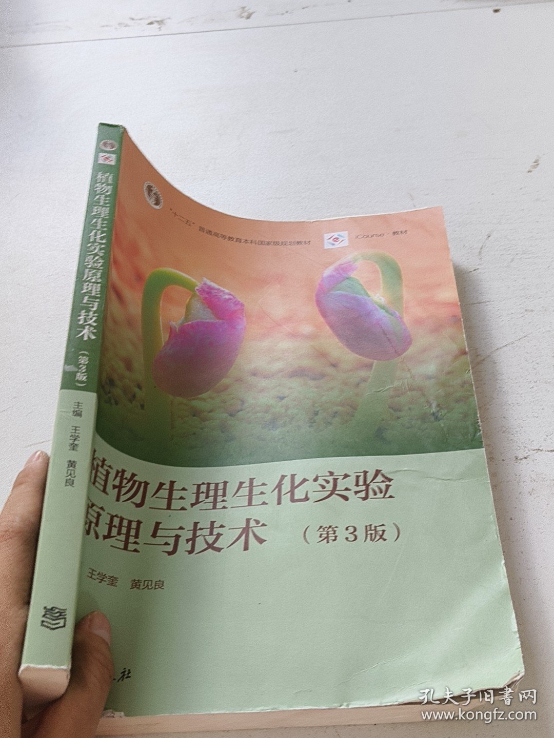 植物生理生化实验原理与技术