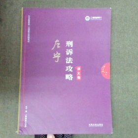 司法考试2019 上律指南针 2019国家统一法律职业资格考试：左宁刑诉法攻略·讲义卷