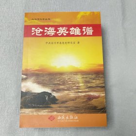 沧海英雄谱（大运河文学丛书）