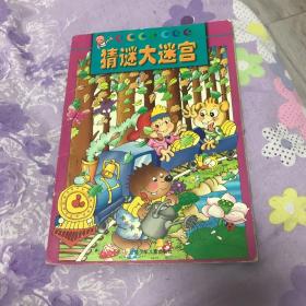 猜谜大迷宫/丁呱呱智力世界