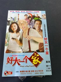 光盘DVD：好大一个家 2碟装 以实拍图购买