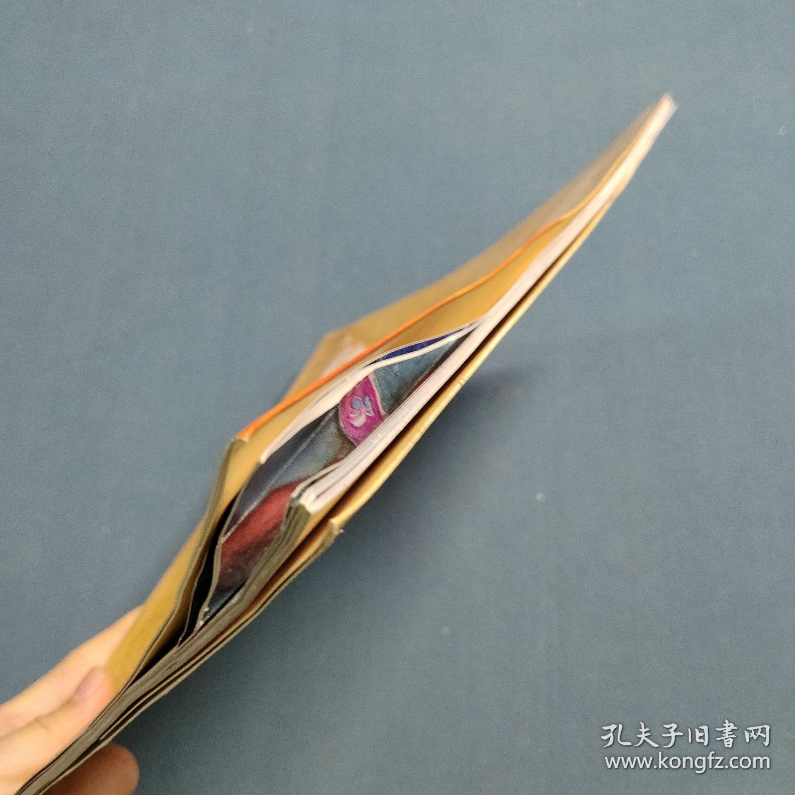 丛林之王 以及动物的史诗故事：猫的故事