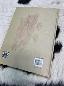 股前外侧穿支皮瓣手术图谱