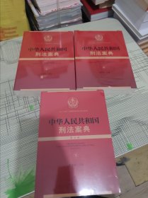 中华人民共和国刑法案典 第二版 （上中下） 全3册 正版原版 全新未开封 现货