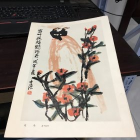 8开名家国画散页(卡纸)：  崔子范---花鸟 （题记：密叶疏枝鹤顶丹）