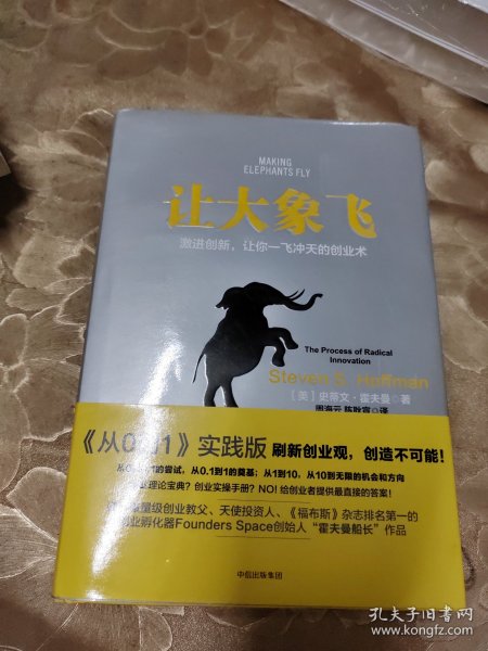 让大象飞:激进创新，让你一飞冲天的创业术