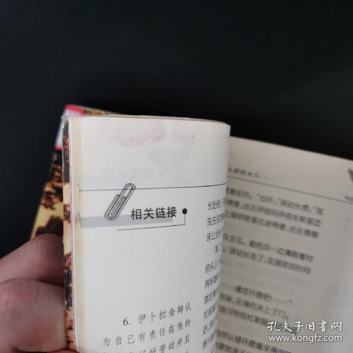 纸生态书系·外国文学典藏：上尉的女儿