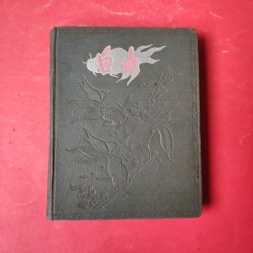 自由日记本【精装】：记录了一位煤矿工人在1960-1979年的日记
