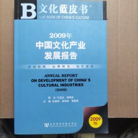 2009年中国文化产业发展报告