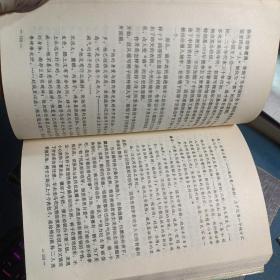 二十世纪中国两岸文学史