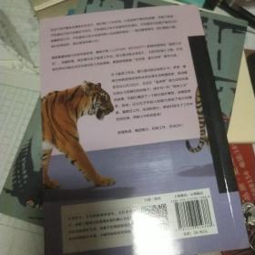 猛虎工作法：能力是训练出来的